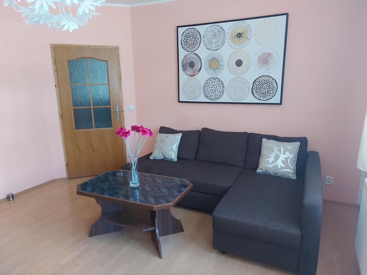 Apartman Jachymov Krusne Hory 外观 照片